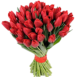 заказать Тюльпаны