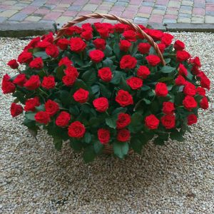 101 червона троянда в кошику Луцьк фото