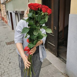 11 метровых роз в Луцке фото