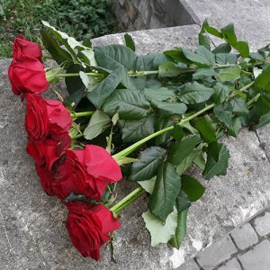 букет 7 червоних троянд в Луцьку фото