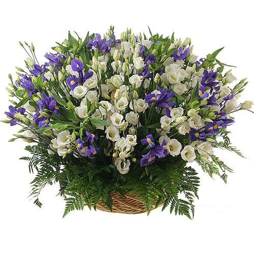 Фото товара 101 еустома в кошику в Луцьку