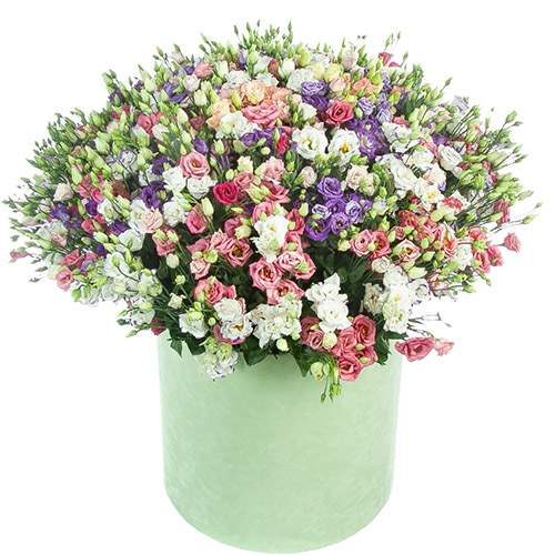 Фото товара 101 еустома в капелюшній коробці в Луцьку