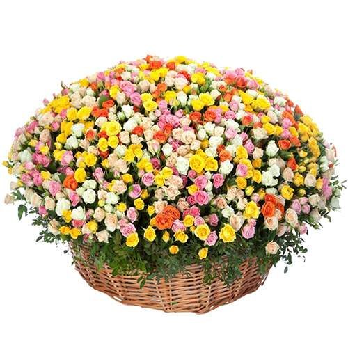 Фото товара 301 кущова троянда в кошику в Луцьку