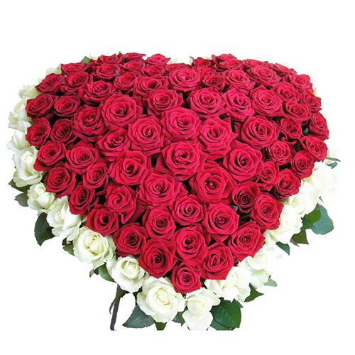 Фото товара 101 троянда серце - біла і червона в Луцьку