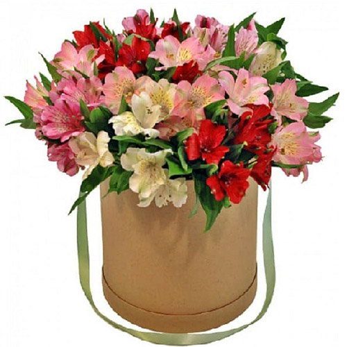 Фото товара Капелюшна коробка "Салют" в Луцьку