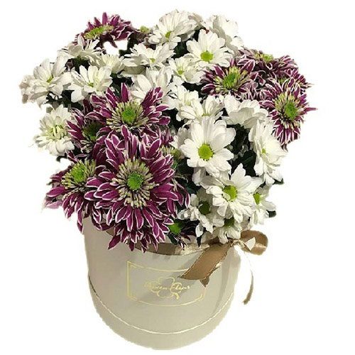 Фото товара Хризантеми в капелюшній коробці в Луцьку