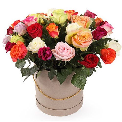 Фото товара Капелюшна коробка "Фієста" в Луцьку