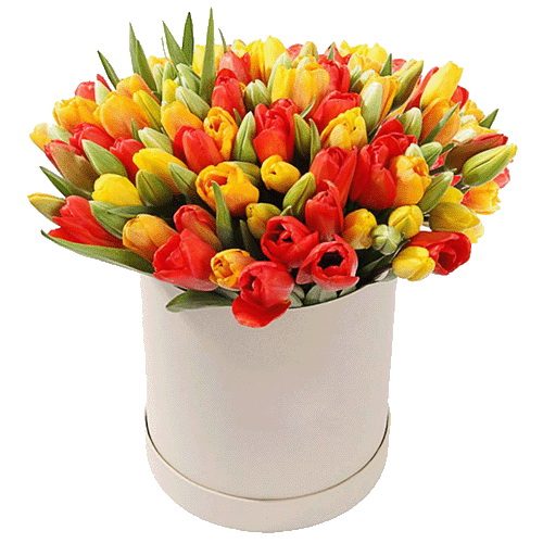 Фото товара 101 тюльпан у капелюшній коробці в Луцьку