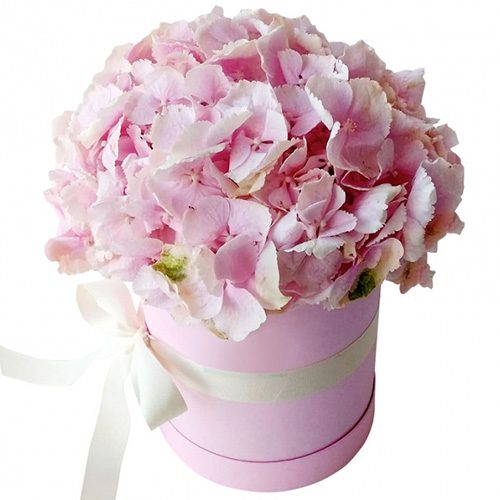 Фото товара Капелюшна коробка "Ніжна" в Луцьку