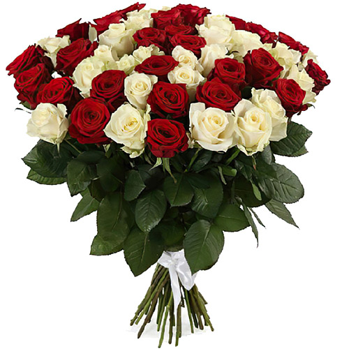 Фото товара 51 червона та біла троянда в Луцьку