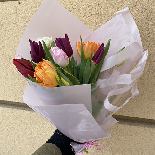 11 тюльпанів мікс фото