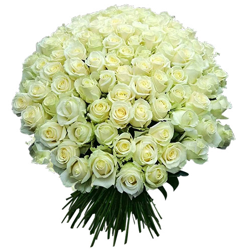 Фото товара 101 біла троянда в Луцьку