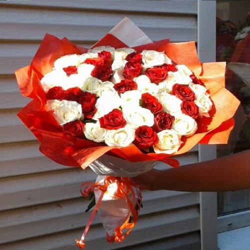 Переглянути товари з категорії «51 Троянда» | Луцьк | «Роза Волинь» категория товаров 51 Троянда | Луцьк | «Роза Волинь»