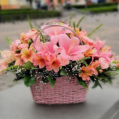 Переглянути товари з категорії «Кошики» | Луцьк | «Роза Волинь» категория товаров Кошики | Луцьк | «Роза Волинь»