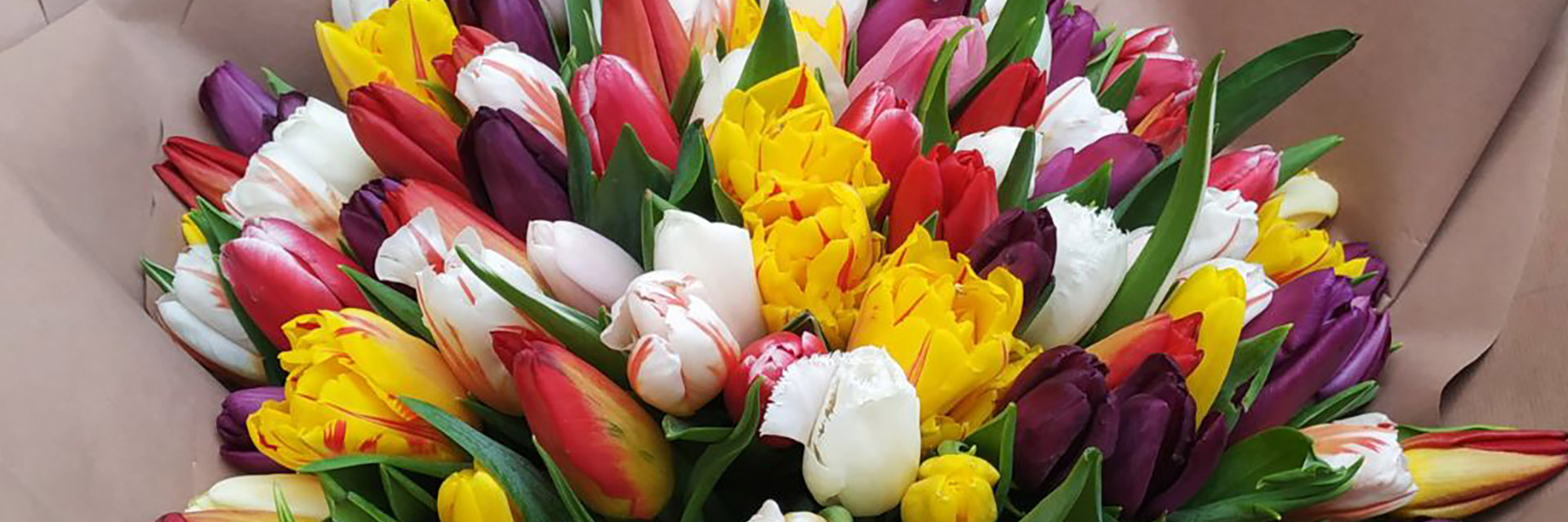 категория товаров Тюльпани | Луцьк | «Роза Волинь»