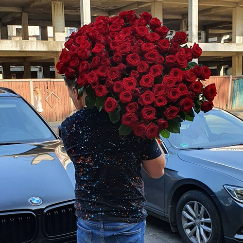 101 червона роза фото букета