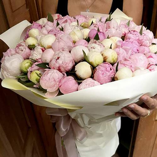 Переглянути товари з категорії «Півонії» | Луцьк | «Роза Волинь» категория товаров Півонії | Луцьк | «Роза Волинь»